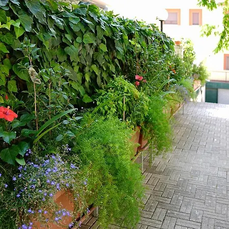 President's 马泰拉