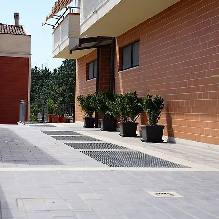 住宿加早餐酒店 President's