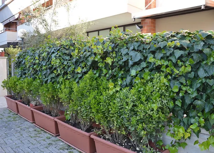 住宿加早餐酒店 President's 3*