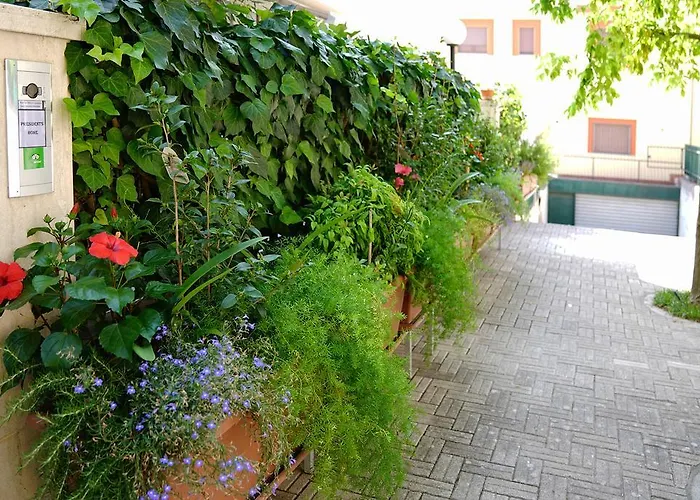 President's 马泰拉